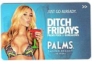 Palms-DitchFridays-1